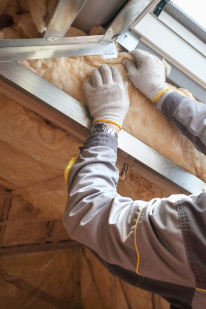 Best Residential Insulation in Woodhaven, MI