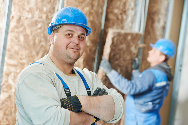Best Insulation Installation Services in Woodhaven, MI